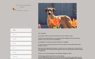 faizah.nl snapshot
