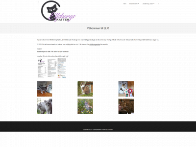 elfsborgskatten.se snapshot