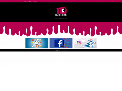 tdonebusiness.com snapshot