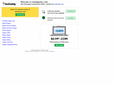 myhippoinc.com snapshot