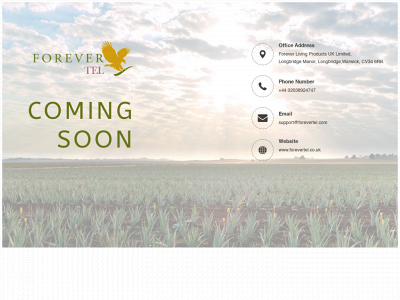 forevertel.com snapshot