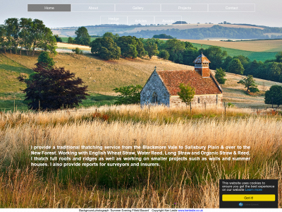 timhydethatching.co.uk snapshot