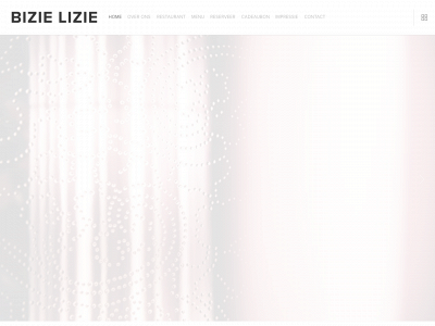 bizielizie.be snapshot