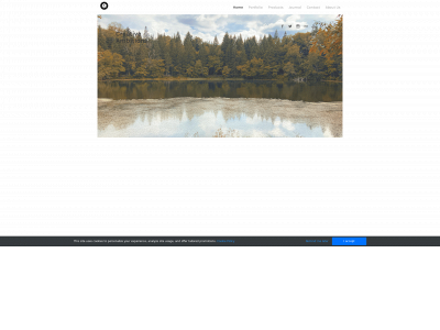 sspartgallery.weebly.com snapshot