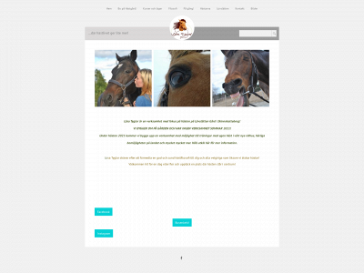 losatyglar.se snapshot
