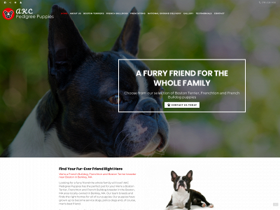 akcpedigreepuppies.com snapshot