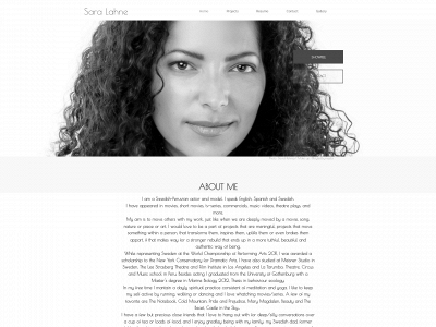 saralahne.com snapshot