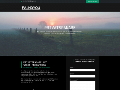 fajndyou.se snapshot