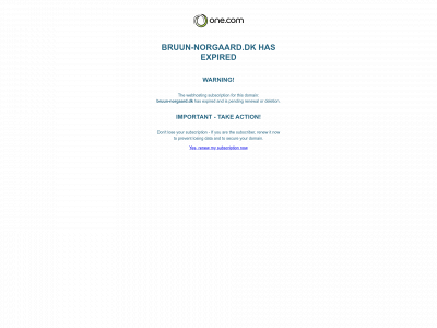 bruun-norgaard.dk snapshot
