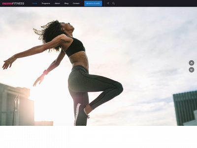 ievolve180.com snapshot