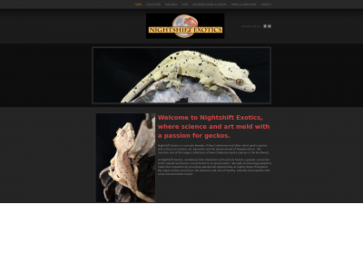 nightshiftexotics.com snapshot