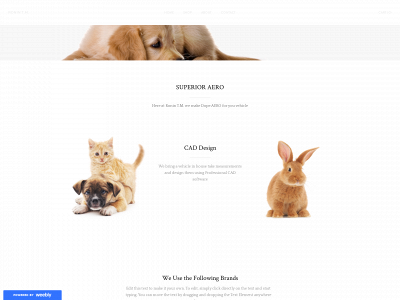 ronintm.weebly.com snapshot