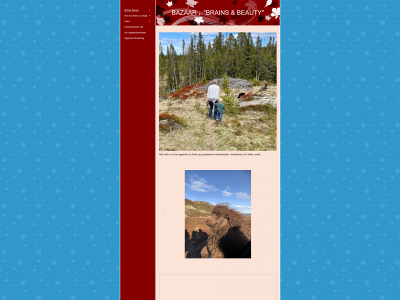 kennelbazaar.com snapshot