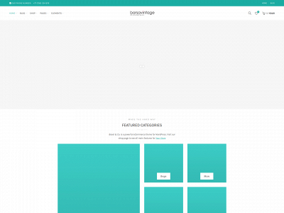 borsavintage.de snapshot