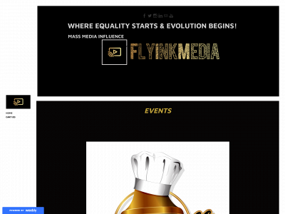 www.flyinkmedia.com snapshot