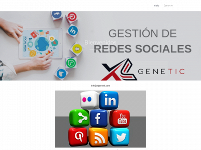 xlgenetic.com snapshot