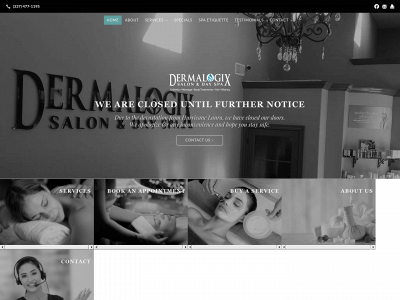 dermalogixspa.com snapshot