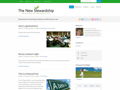 thenewstewardship.com snapshot