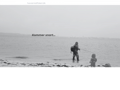 havoerredfiskeri.dk snapshot