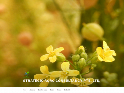 stratagro.com snapshot