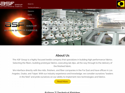 asfgroup.com snapshot