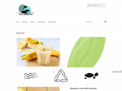 ecoslamcice.com snapshot