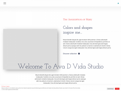 avadvidastudio.com snapshot