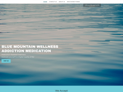 bluemountainwellness.org snapshot