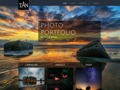 t-a-n.dk snapshot