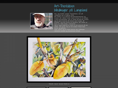 art-therkildsen.dk snapshot