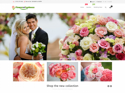 flowersandfreshness.com snapshot