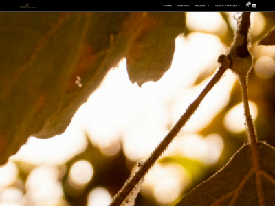 thebakersfieldphotographer.com snapshot