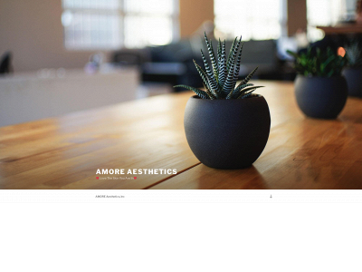 amoreaesthetics4life.com snapshot