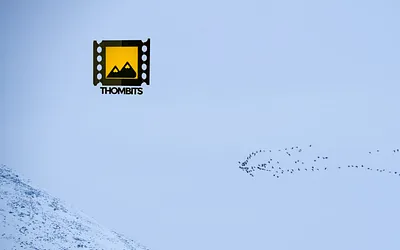 thombits.no snapshot