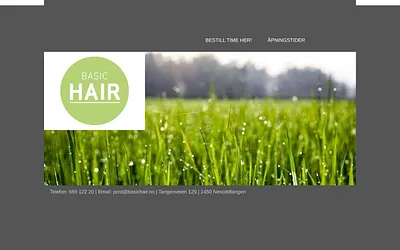 basichair.no snapshot