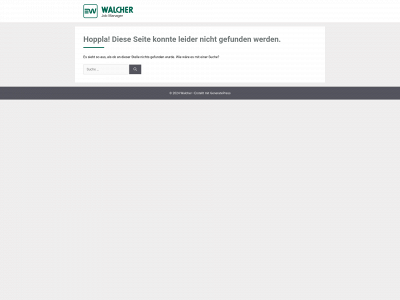 job-manager.online snapshot