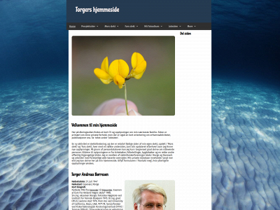 torgerborresen.dk snapshot