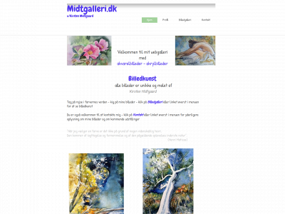 midtgalleri.dk snapshot