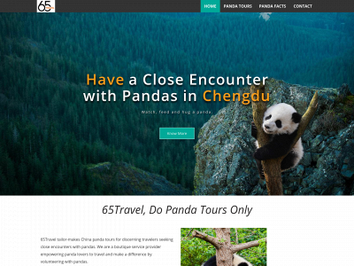 65travel.com snapshot