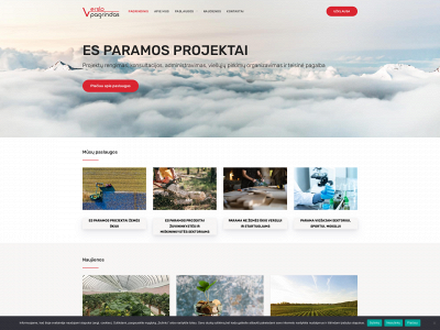 verslopagrindas.lt snapshot