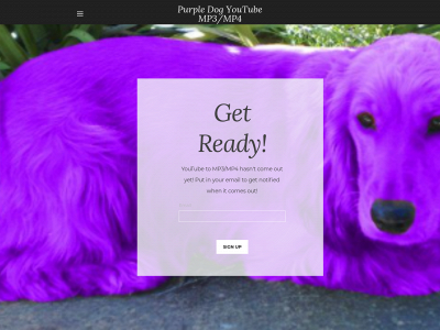 purpledogyoutubetomp4.weebly.com snapshot