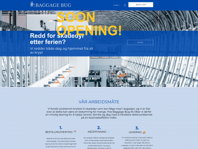 baggagebug.com snapshot
