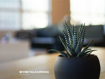 my-meta-learning.com snapshot