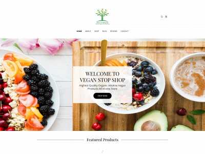 misshinaturals.com snapshot