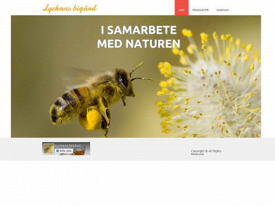 lyckansbigard.se snapshot