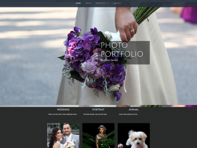 mittphoto.se snapshot