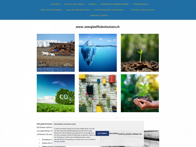 energieeffizientnutzen.ch snapshot