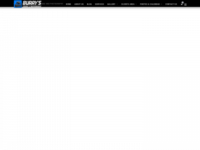 burrysvideosandphotography.com snapshot