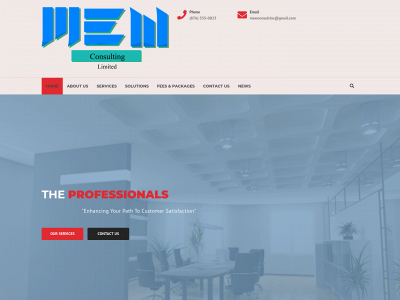 mewconsultinc.com snapshot