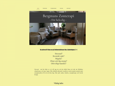 bergmanszonterapi.se snapshot